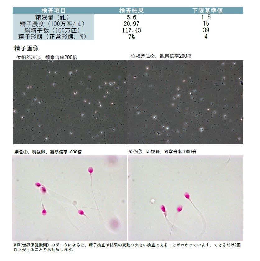 プロフィール ゆのんの種